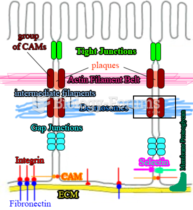 Cell-Cell junctions/Attachments