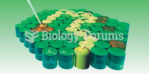 reaction system of photosynthesis