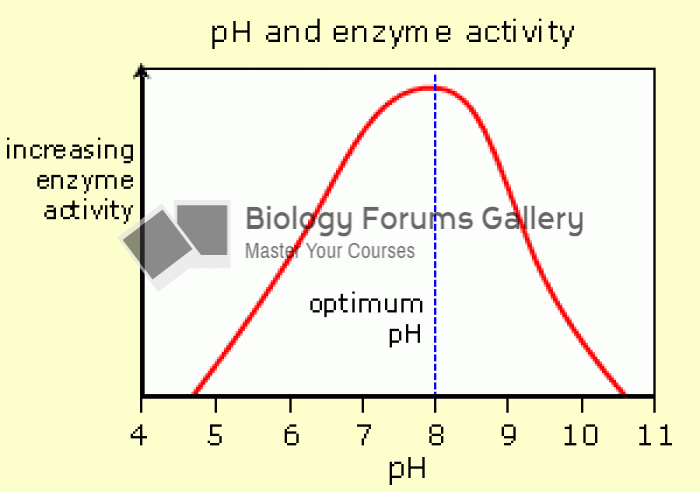 Optimum pH of Enzymes