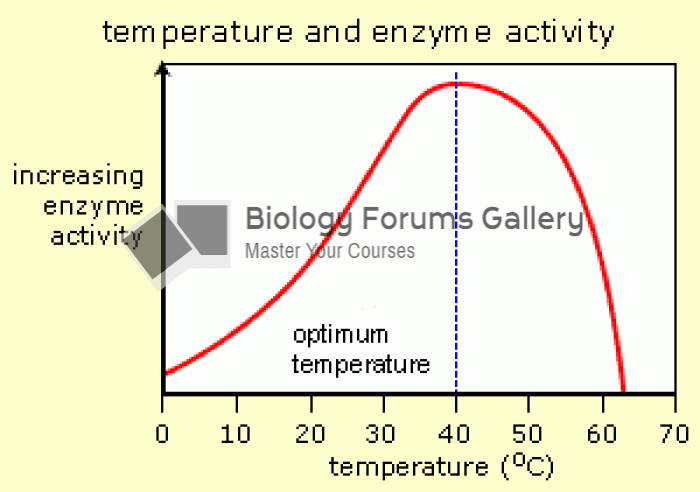 Optimum Temperature of Enzymes
