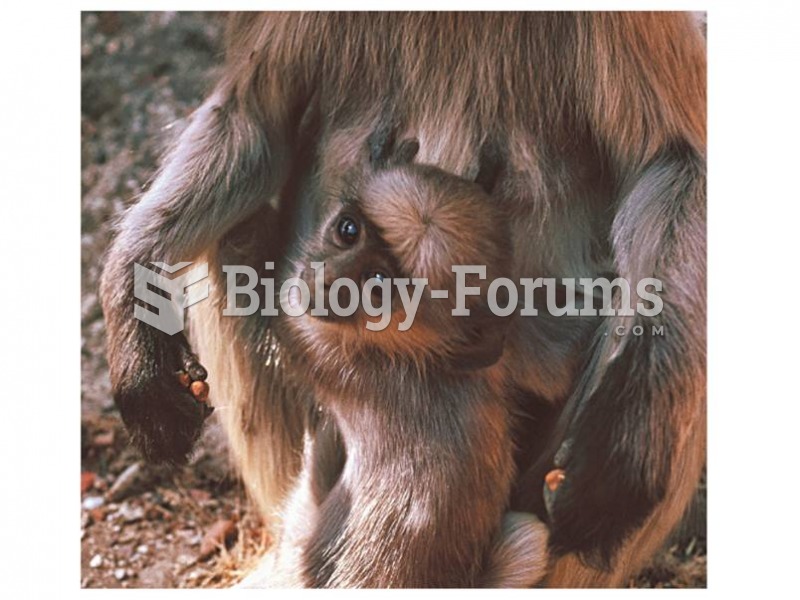 Infanticide in nonhuman primates has been best-documented in Hanuman langurs.