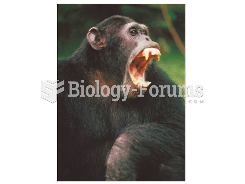 Chimpanzees are studied more than bonobos.