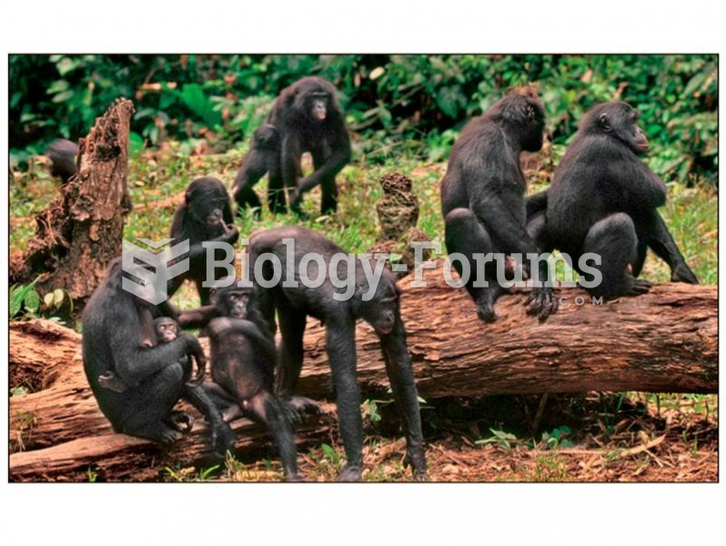 Bonobo females form close alliances, maintained through sex, but these alliances are lacking in chim