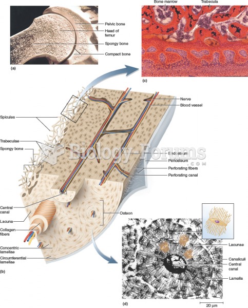 Bone histology