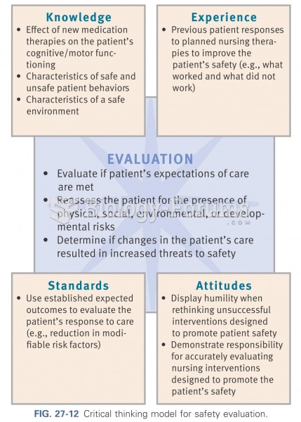 Critical thinking model for safety evaluation