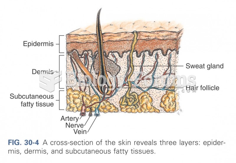 A cross-section of the skin reveals three layers