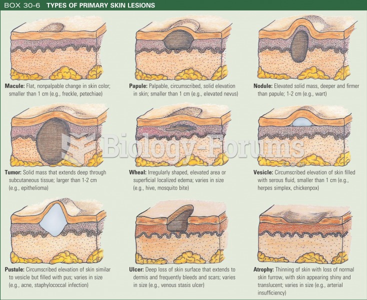 Types of primary skin lesions