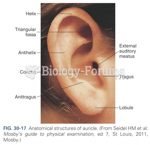 Anatomical structures of auricle