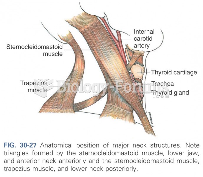 Anatomical position of major neck structures