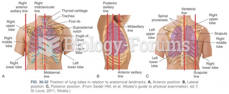 Position of lung lobes in relation to anatomical landmarks