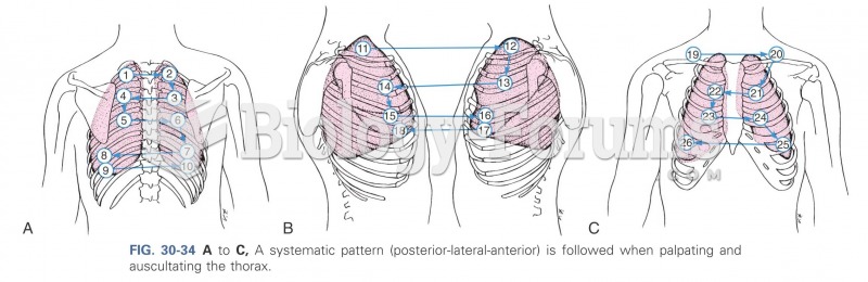 A systemic pattern is followed when palpating and auscultating