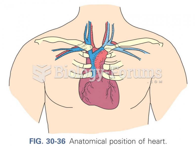 Anatomical positions of the heart