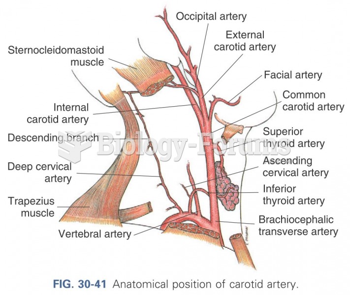 Anatomical position for carotid artery