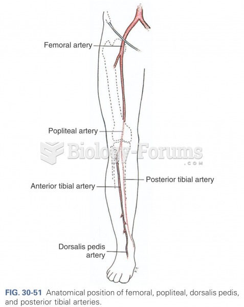 Anatomical position of femoral, popliteal, dorsalis pedis, and posterior tibial