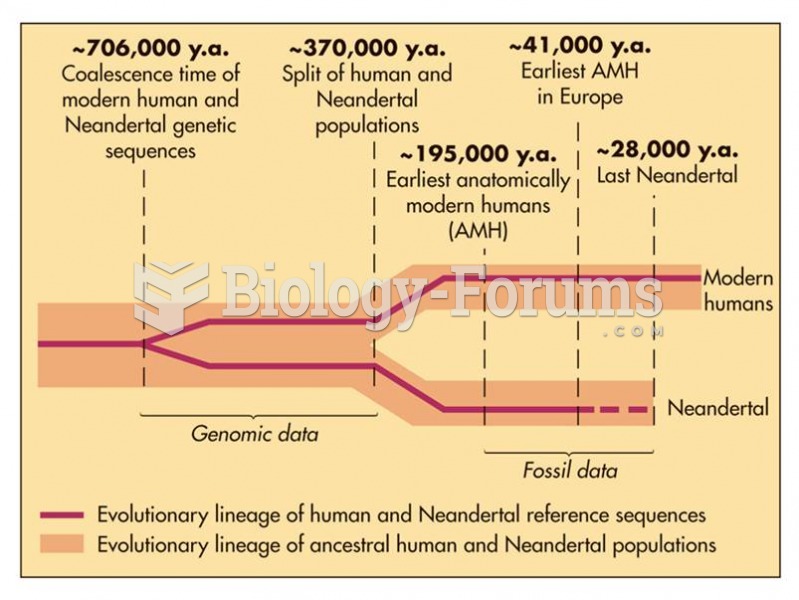 Evolutionary lineage of humans and Neadertals.
