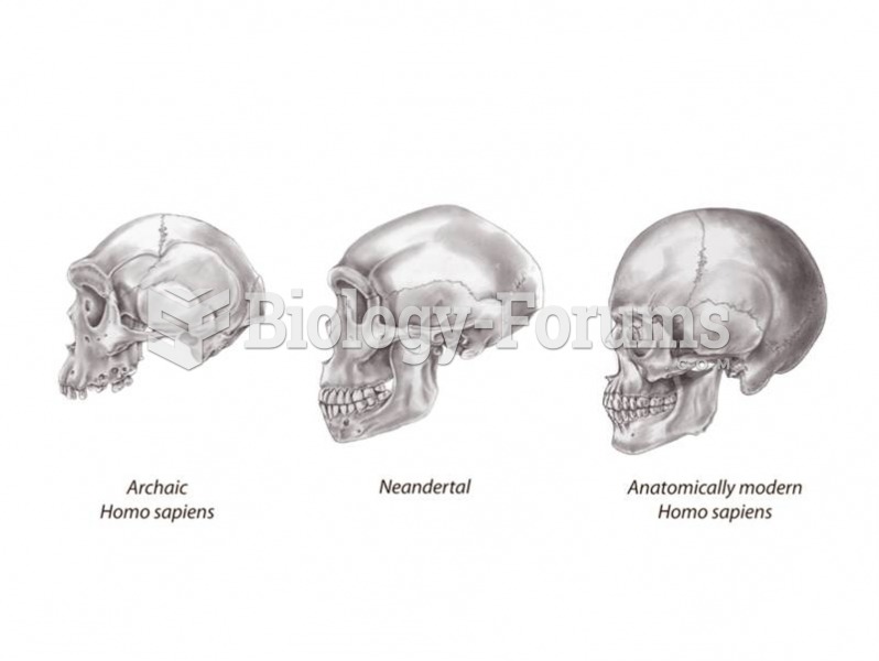 Variations on a theme: archaic Homo sapiens, Neandertal, and anatomically modern Homo sapiens skulls