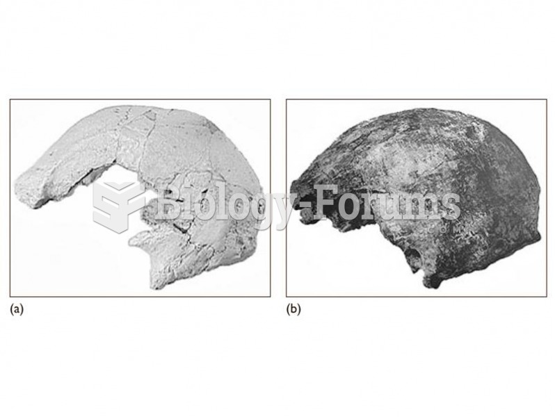 Evidence of regional continuity: (a) The anatomically modern Willandra Lakes Hominid 50 calvaria fro
