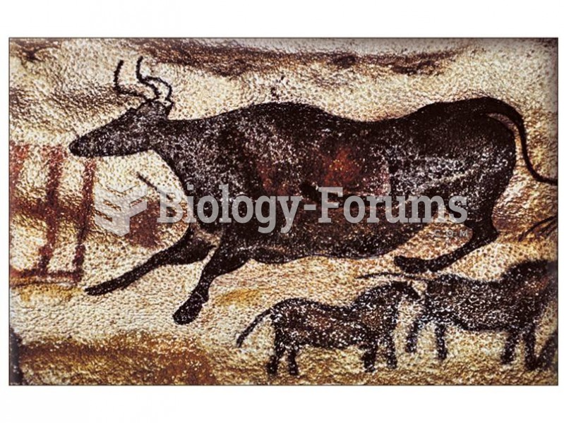 Abundant cave art after about 30,000 years ago is evidence of the importance of symbolic behavior fo