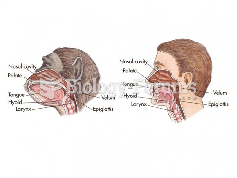 The supralaryngeal airway in a chimpanzee and a human. 