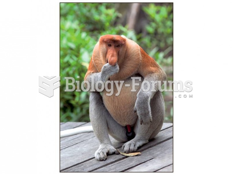 The proboscis monkey demonstrates that large gut size contributes to a lower EQ.