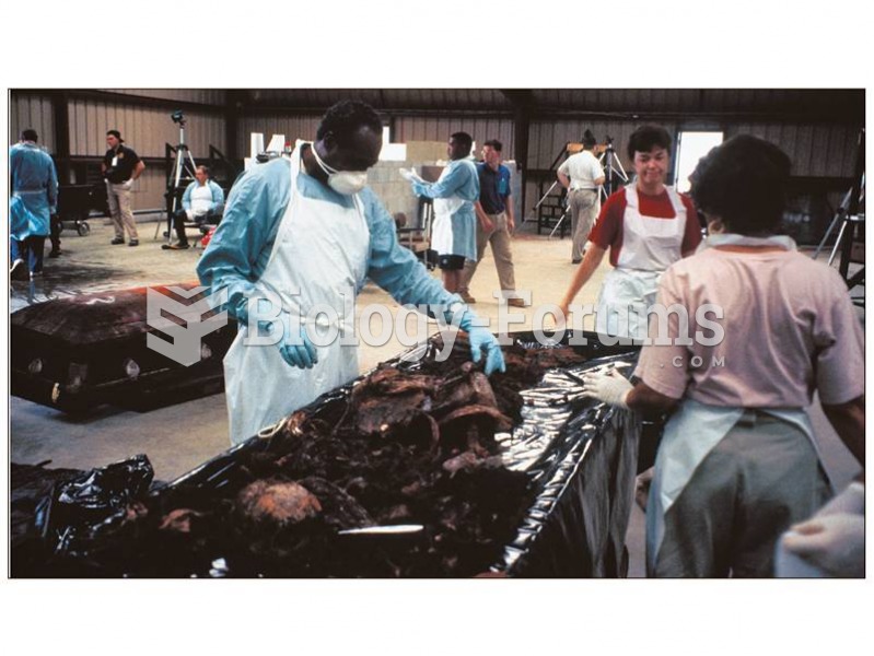 Forensic anthropologists working at a temporary morgue following the recovery of remains from a floo