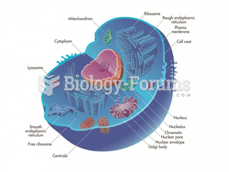 A typical eukaryotic cell.