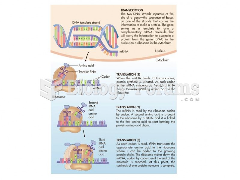 Protein synthesis. 