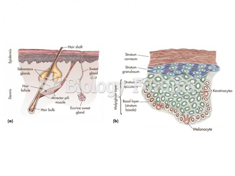 The structure of skin (a) and epidermis (b) at the microscopic level. 