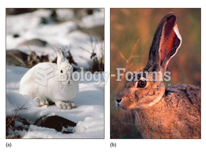 Bergmann’s and Allen’s rules expressed in two rabbit species. (a) A snowshoe hare. (b) A desert-livi