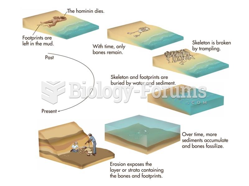 Fossils are formed after an animal dies, decomposes, and is covered in sediment. Minerals in ground 