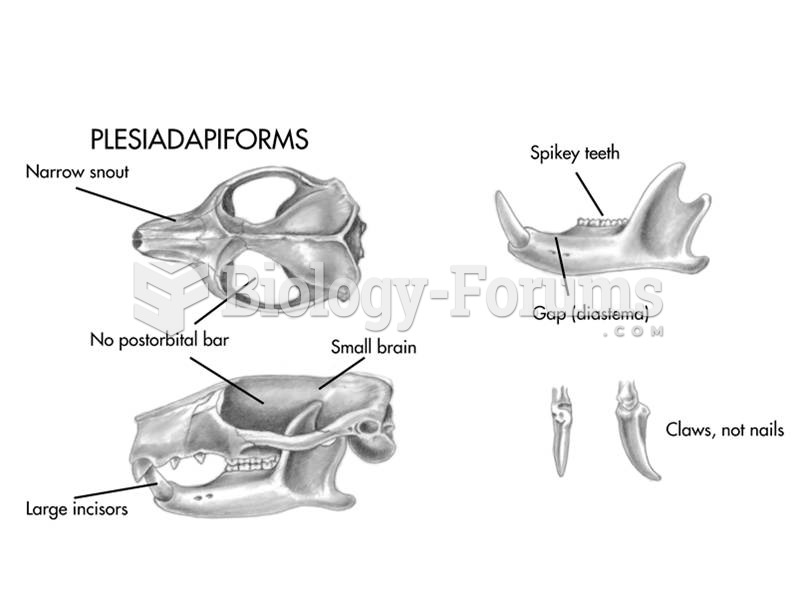 The plesiadapiforms may have been primates, but they lacked certain features, such as a postorbital 