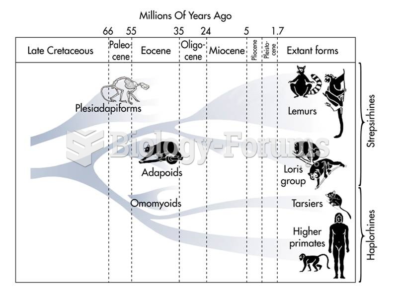 Possible relationships between fossil and living primates.  