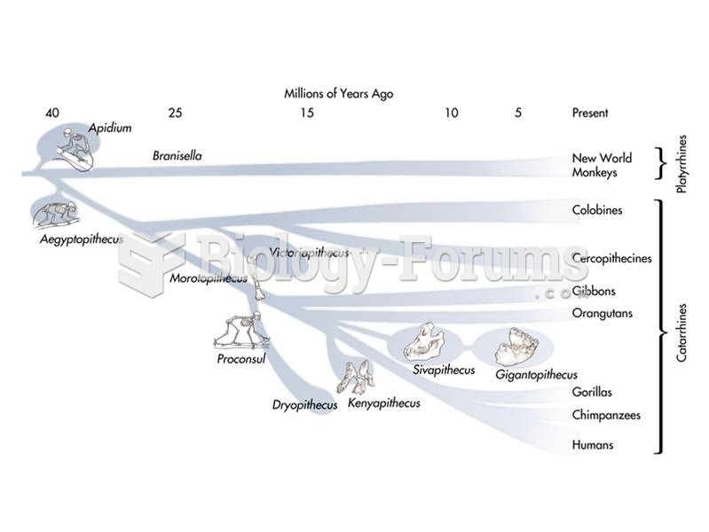 Proposed relationships between living and fossil platyrrhines and catarrhines.   