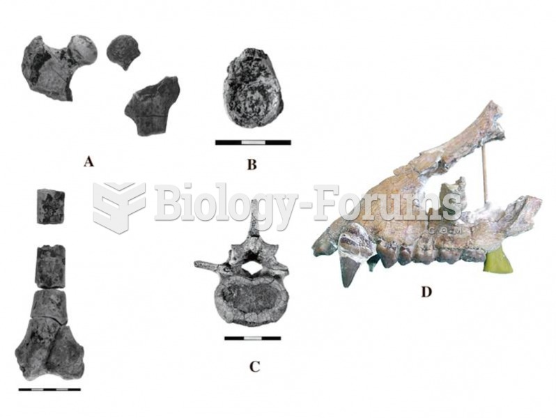 Morotopithecus is the earliest fossil ape to show postcranial adaptations similar to those of the li