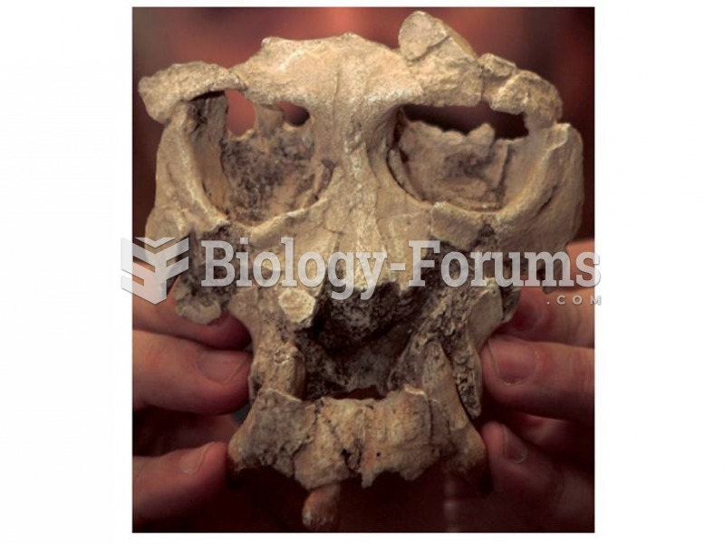 Pierolapithecus catalunicus may be an ancestor of great apes and humans. Its postcranial skeleton sh