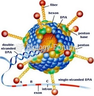 Anatomy of the Virus