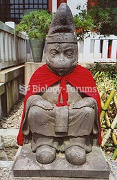 Simian statue at a Buddhist shrine in Tokyo, Japan