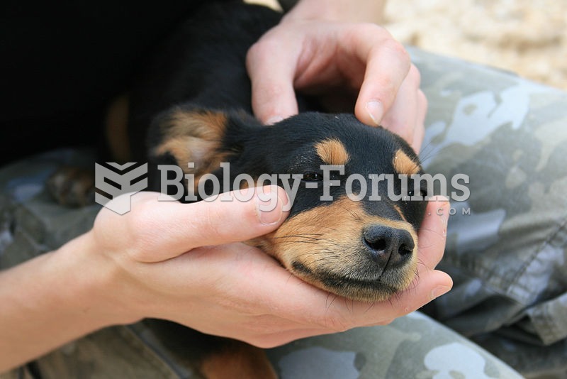 A human cuddles a Doberman puppy.