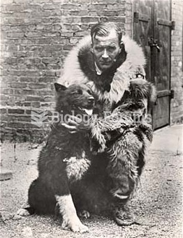 Gunnar Kaasen and Balto, the lead dog on the last relay team of the 1925 serum run to Nome.