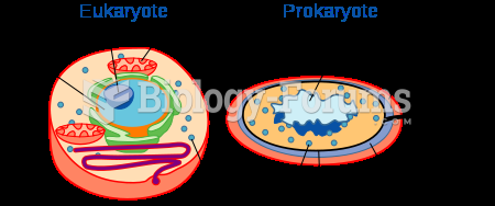 The cells of eukaryotes (left) and prokaryotes (right)