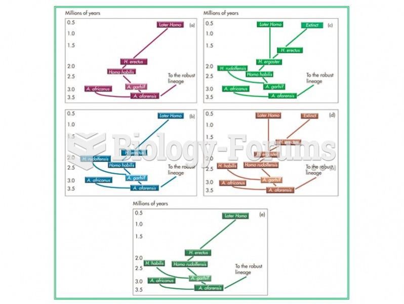 Possible phylogenies for early Homo. 