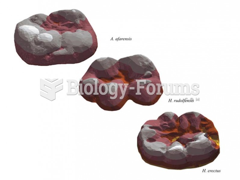 Dental topography differs between A. Afarensis and H. erectus, suggesting the australopithecine teet