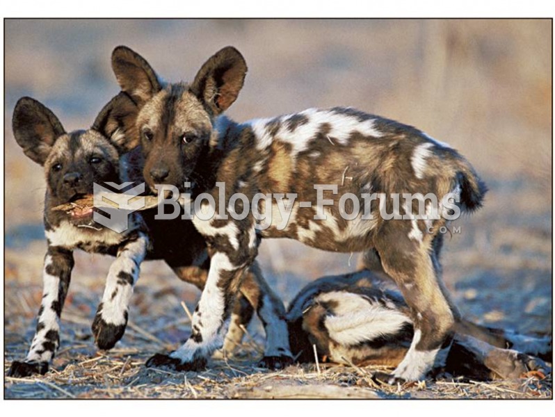 Carnivores such as these wild dogs have skeletal adaptations for eating meat. 