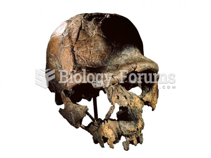 The cranium of early African H. erectus KNM-ER 3733 is nearly 1.8 million years old. 