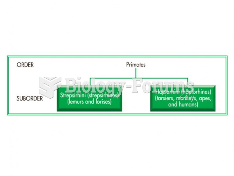 The major groupings of living primates.   