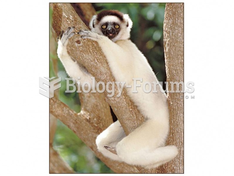 The lemurs rediated into a variety of forms, including the sifaka. 