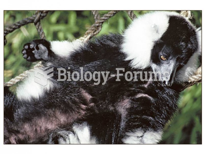 The endangered ruffed lemur.