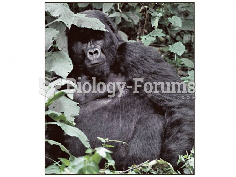 Gorillas live in one-male or multimale groups, from which females emigrate at sexual materity.