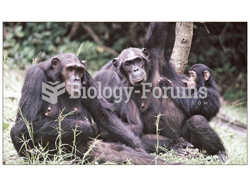 Chimpanzees live in complex kin groups in which lifelong bonds and individual personalities play key