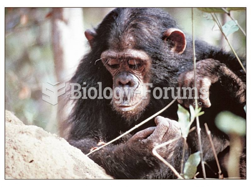Wild chimpanzees make and use simple tools to obtain food, learning tool making from one another.